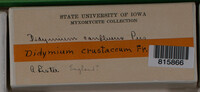 Image Associated With the Occurrence